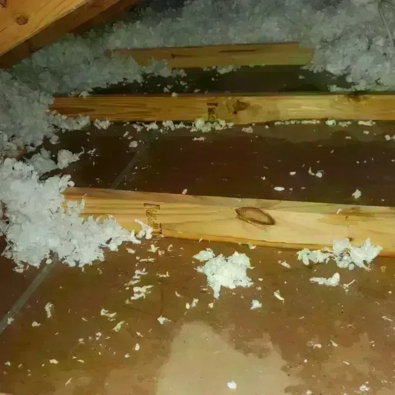 Attic Water Damage in Key Vista, FL