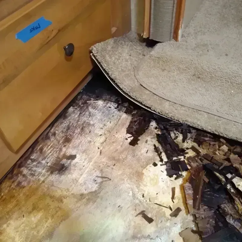 Wood Floor Water Damage in Key Vista, FL